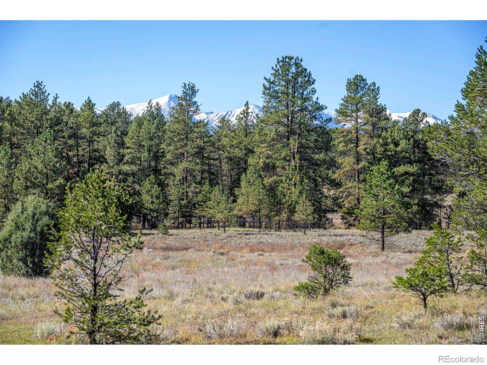 7.22 Acres of Residential Land for Sale in Cotopaxi, Colorado