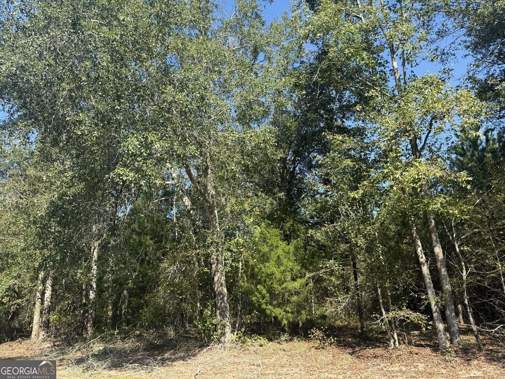 11 Acres of Recreational & Residential Land for Sale in Arlington, Georgia