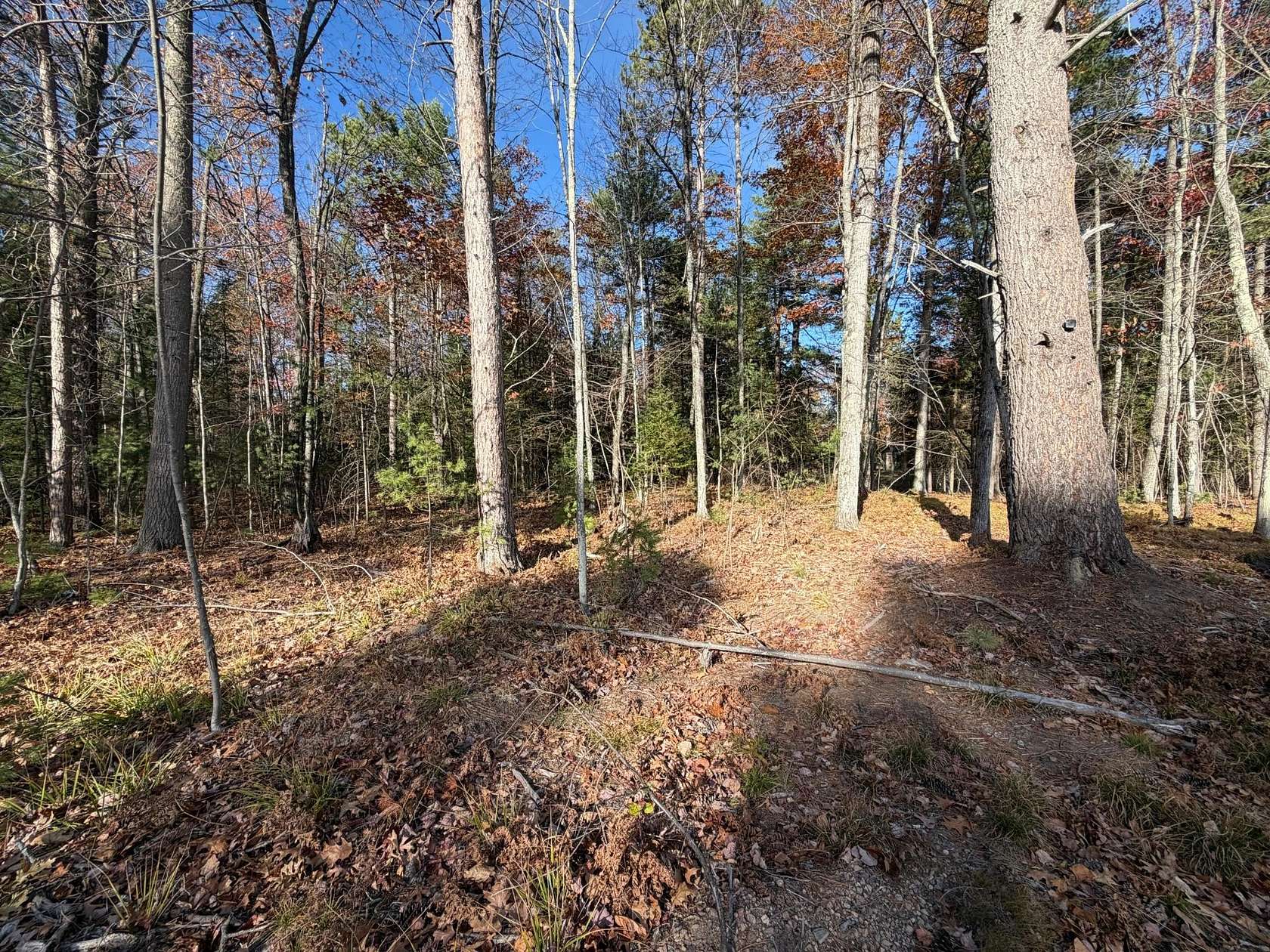 1.5 Acres of Land for Sale in Eagle River, Wisconsin