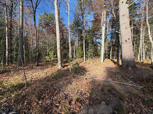 1.5 Acres of Land for Sale in Eagle River, Wisconsin