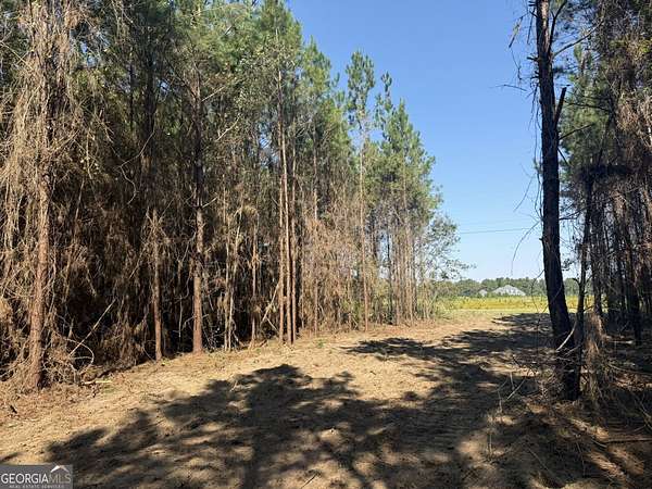 5 Acres of Land for Sale in Arlington, Georgia
