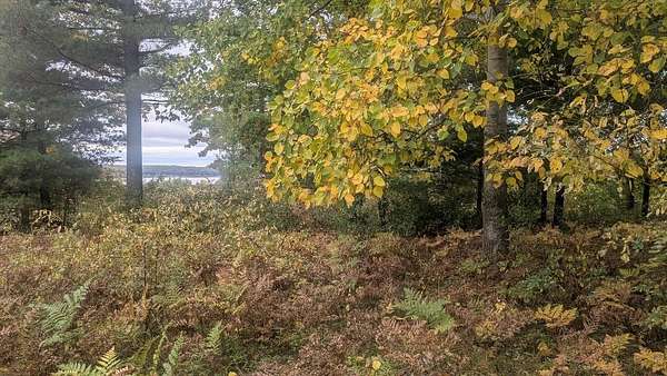 1 Acre of Residential Land for Sale in Onekama, Michigan