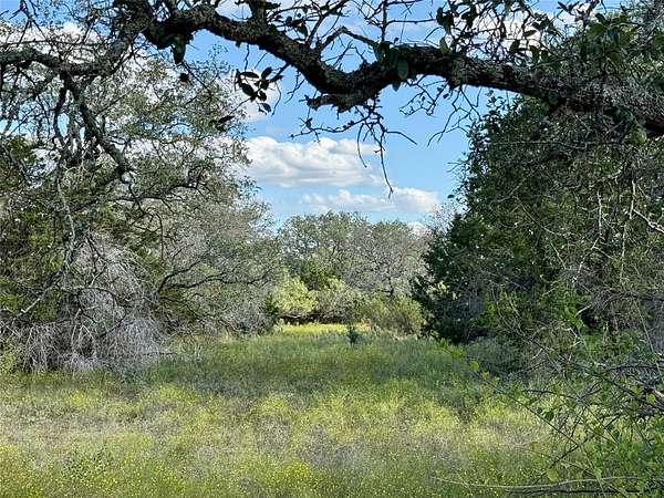 61.7 Acres of Recreational & Residential Land for Sale in Blanket, Texas