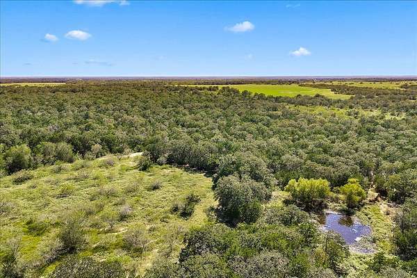 133 Acres of Land for Sale in Smithville, Texas