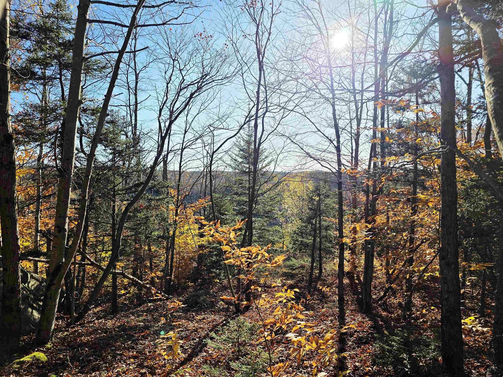 45.5 Acres of Recreational Land for Sale in South Colton, New York