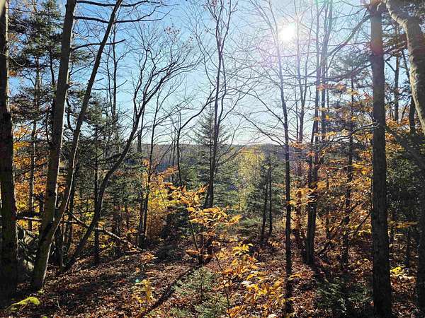 45.5 Acres of Recreational Land for Sale in South Colton, New York