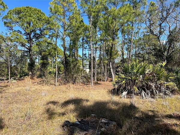 0.17 Acres of Land for Sale in Punta Gorda, Florida