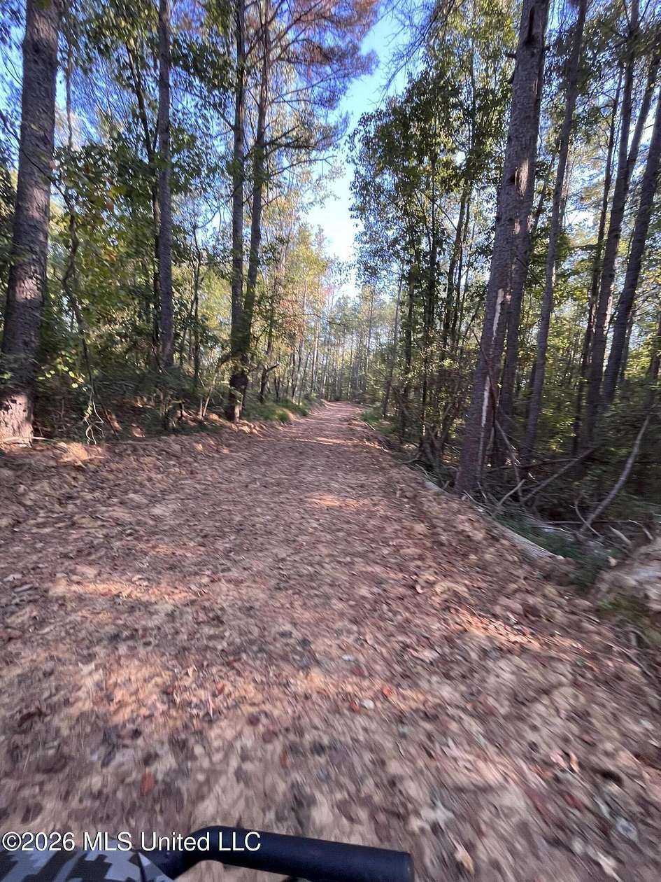 80 Acres of Recreational & Residential Land for Sale in Como, Mississippi