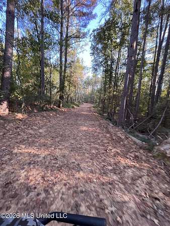 80 Acres of Recreational & Residential Land for Sale in Como, Mississippi
