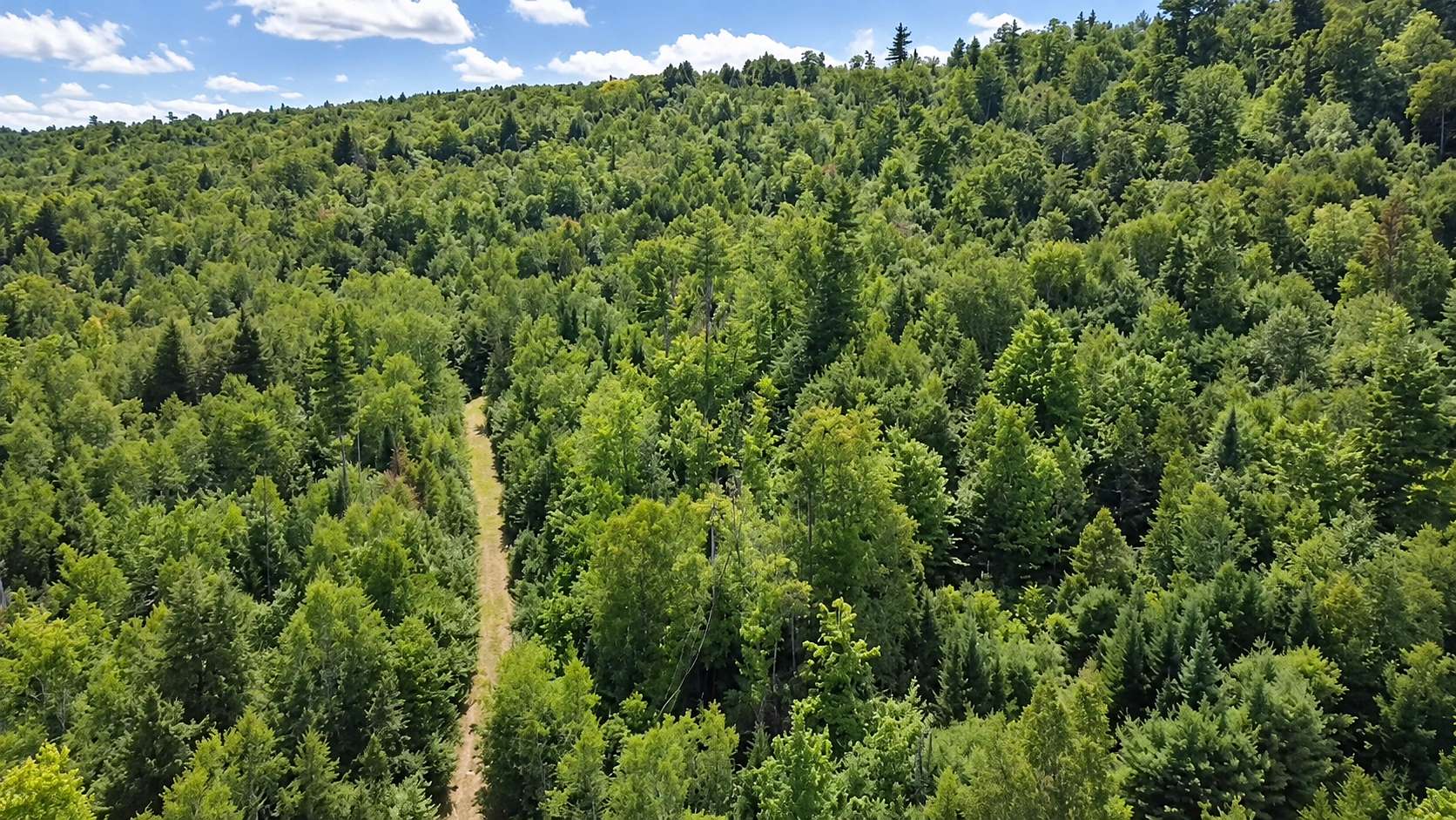 7.5 Acres of Agricultural Land for Sale in Carthage, Maine