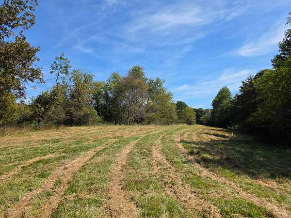 37.9 Acres of Land for Auction in Check, Virginia