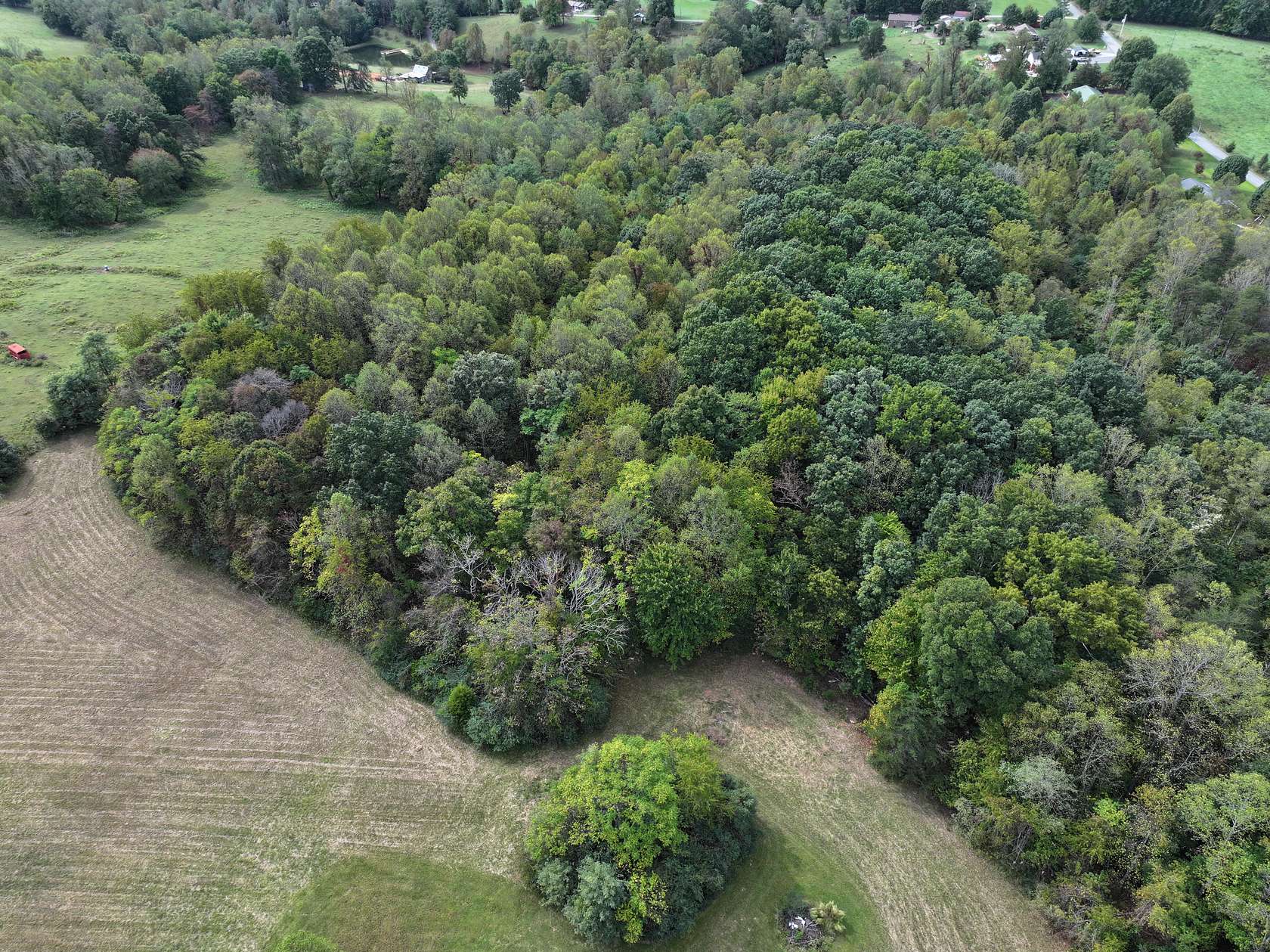 13.7 Acres of Land for Sale in Stuart, Virginia