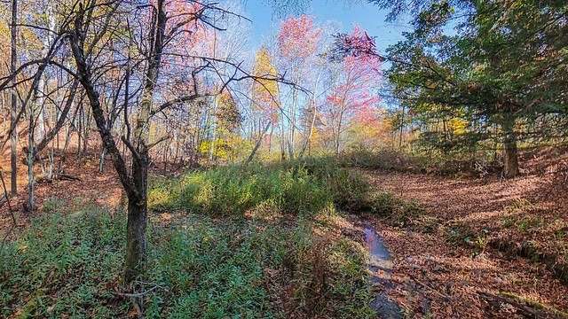 99.4 Acres of Recreational & Residential Land for Sale in Cooperstown, New York