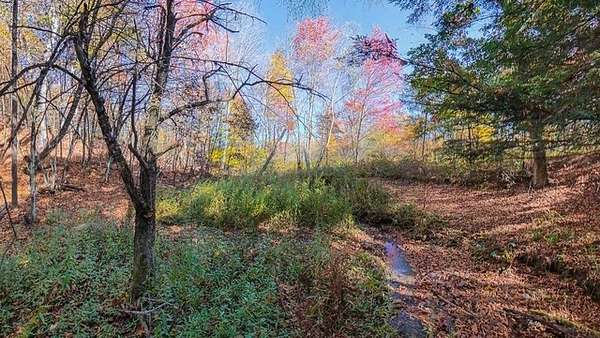 99.4 Acres of Recreational & Residential Land for Sale in Cooperstown, New York