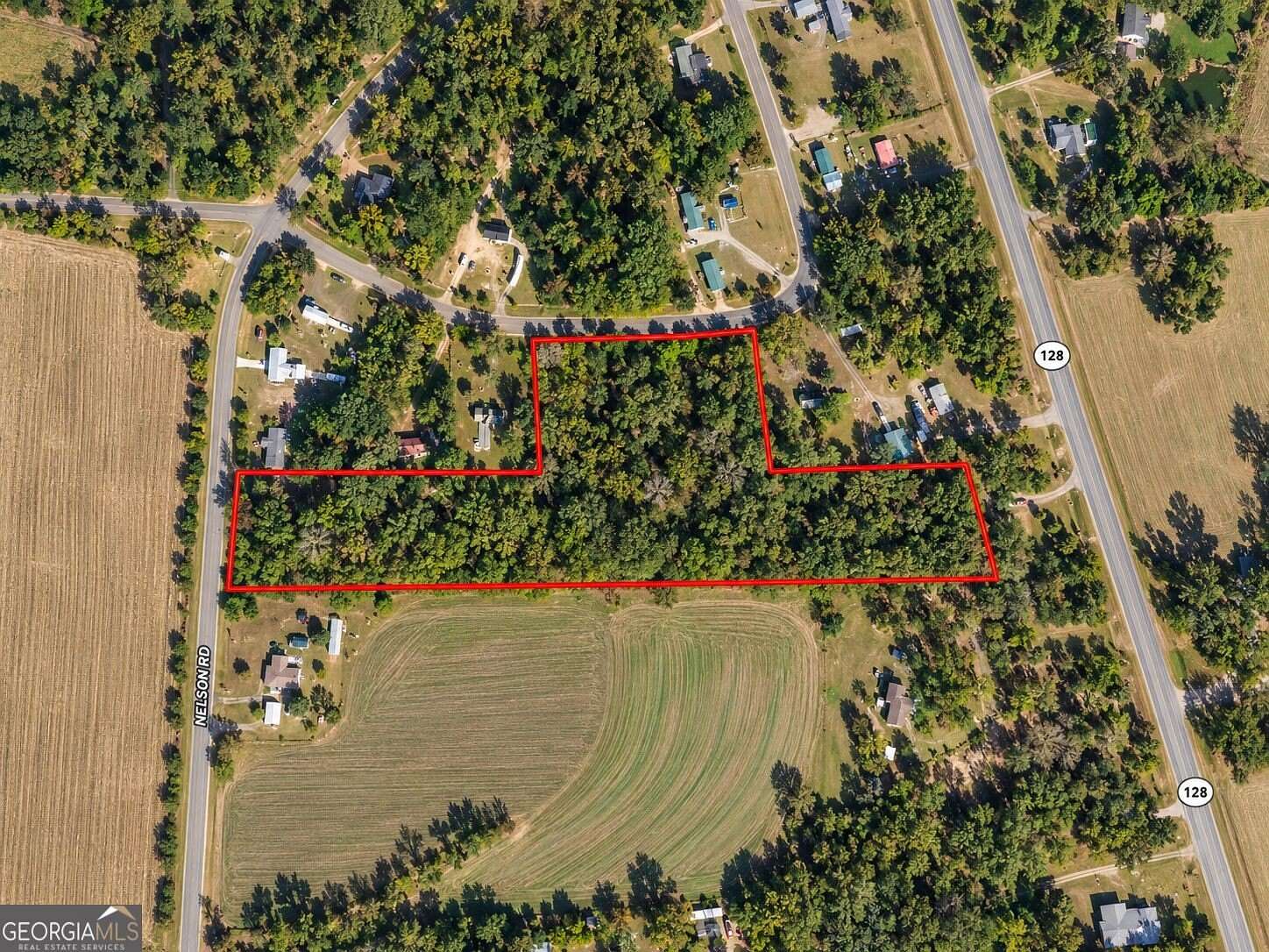 10 Acres of Residential Land for Sale in Reynolds, Georgia