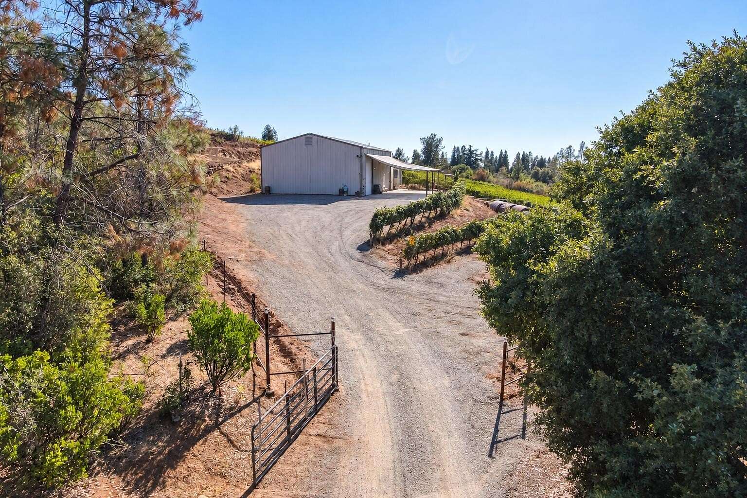 10 Acres of Improved Land for Sale in Manton, California