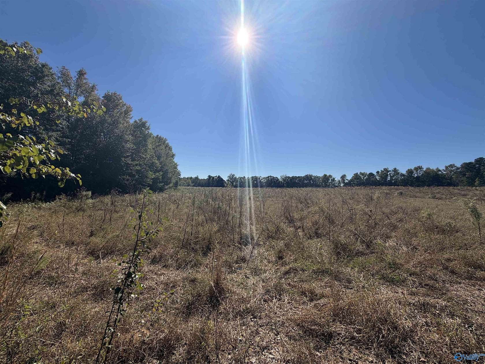 22 Acres of Agricultural & Residential Land for Sale in Horton, Alabama