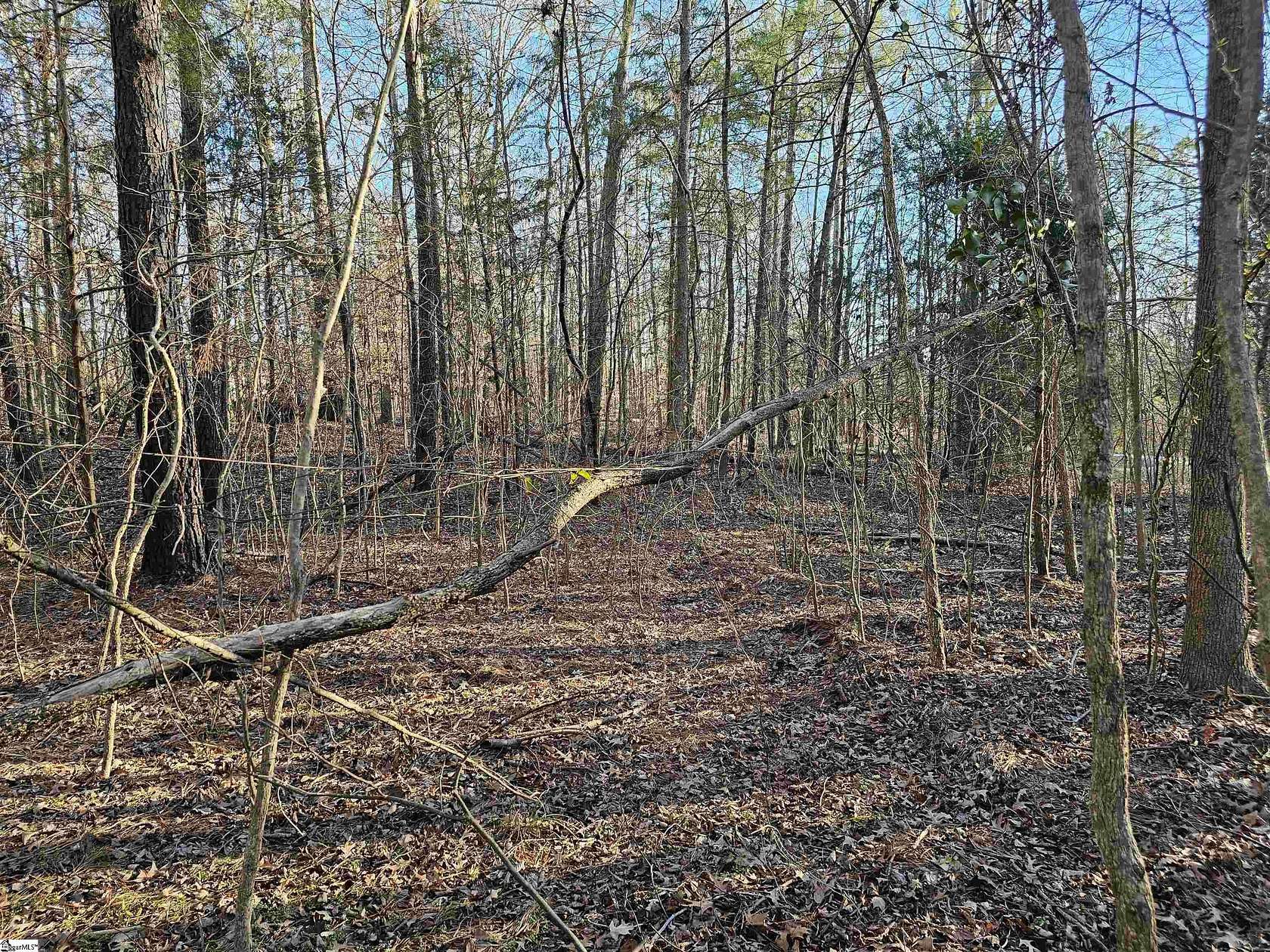 0.5 Acres of Residential Land for Sale in Waterloo, South Carolina