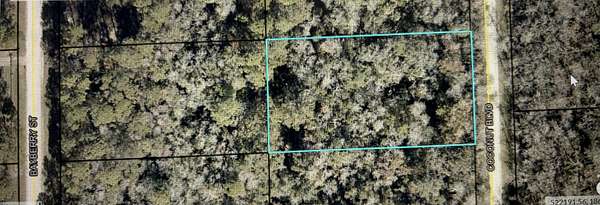 1.14 Acres of Land for Sale in Bunnell, Florida