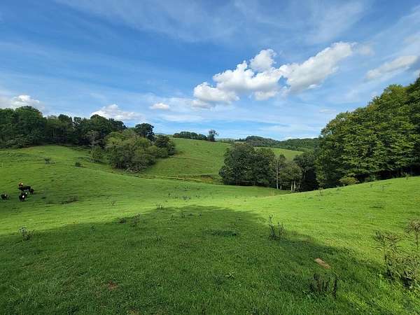 45.6 Acres of Land for Sale in Independence, Virginia
