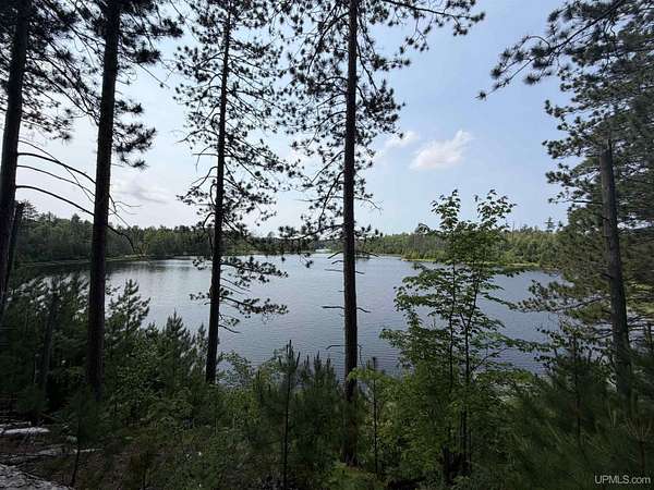 157 Acres of Recreational Land for Sale in Republic, Michigan