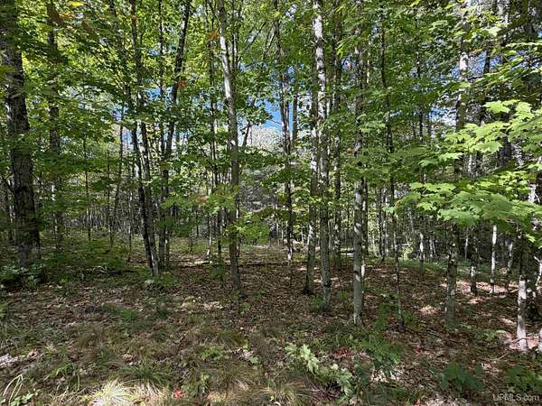 40 Acres of Recreational & Residential Land for Sale in Michigamme, Michigan