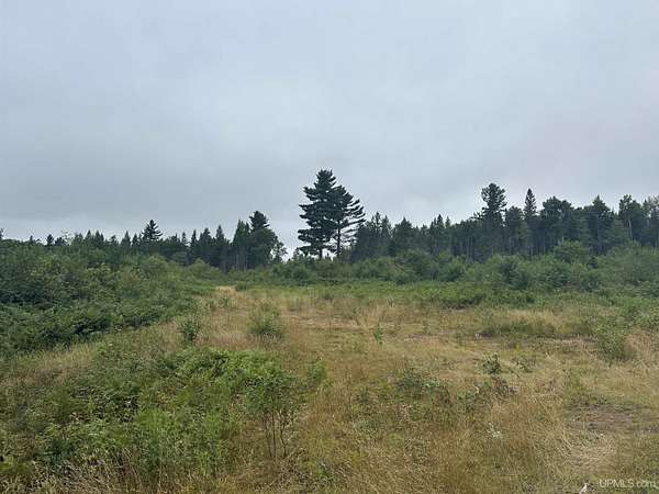 180 Acres of Recreational Land for Sale in Michigamme, Michigan