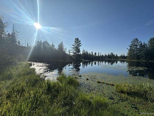 1,415 Acres of Recreational Land for Sale in Michigamme, Michigan