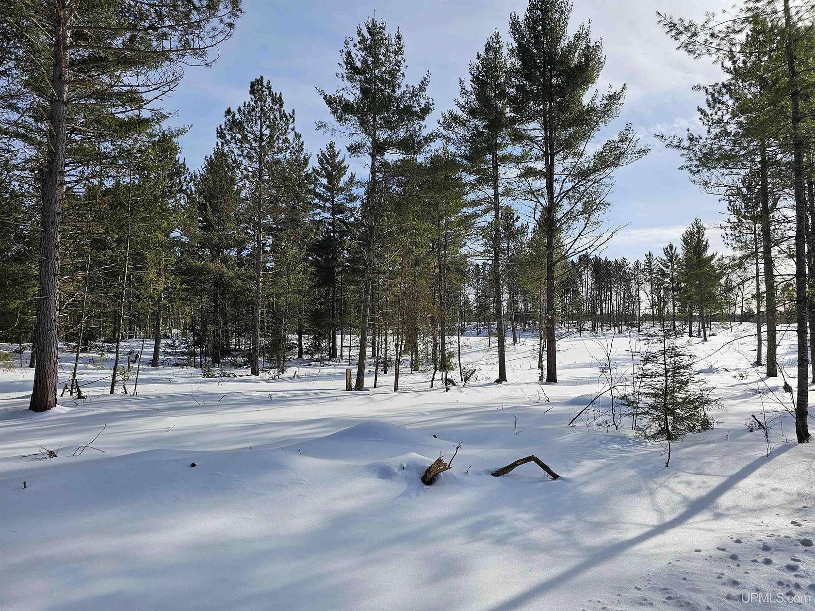 220 Acres of Recreational & Residential Land for Sale in Ishpeming, Michigan