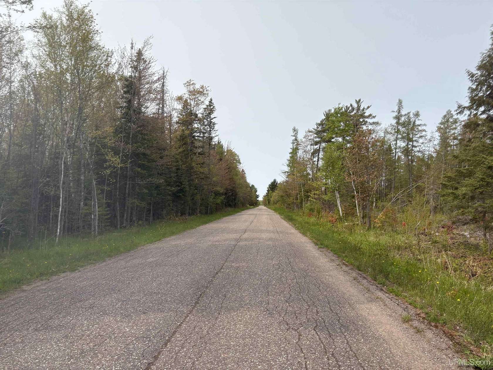 10 Acres of Residential Land for Sale in Skandia, Michigan