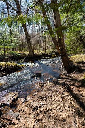 2.46 Acres of Residential Land for Sale in Skandia, Michigan