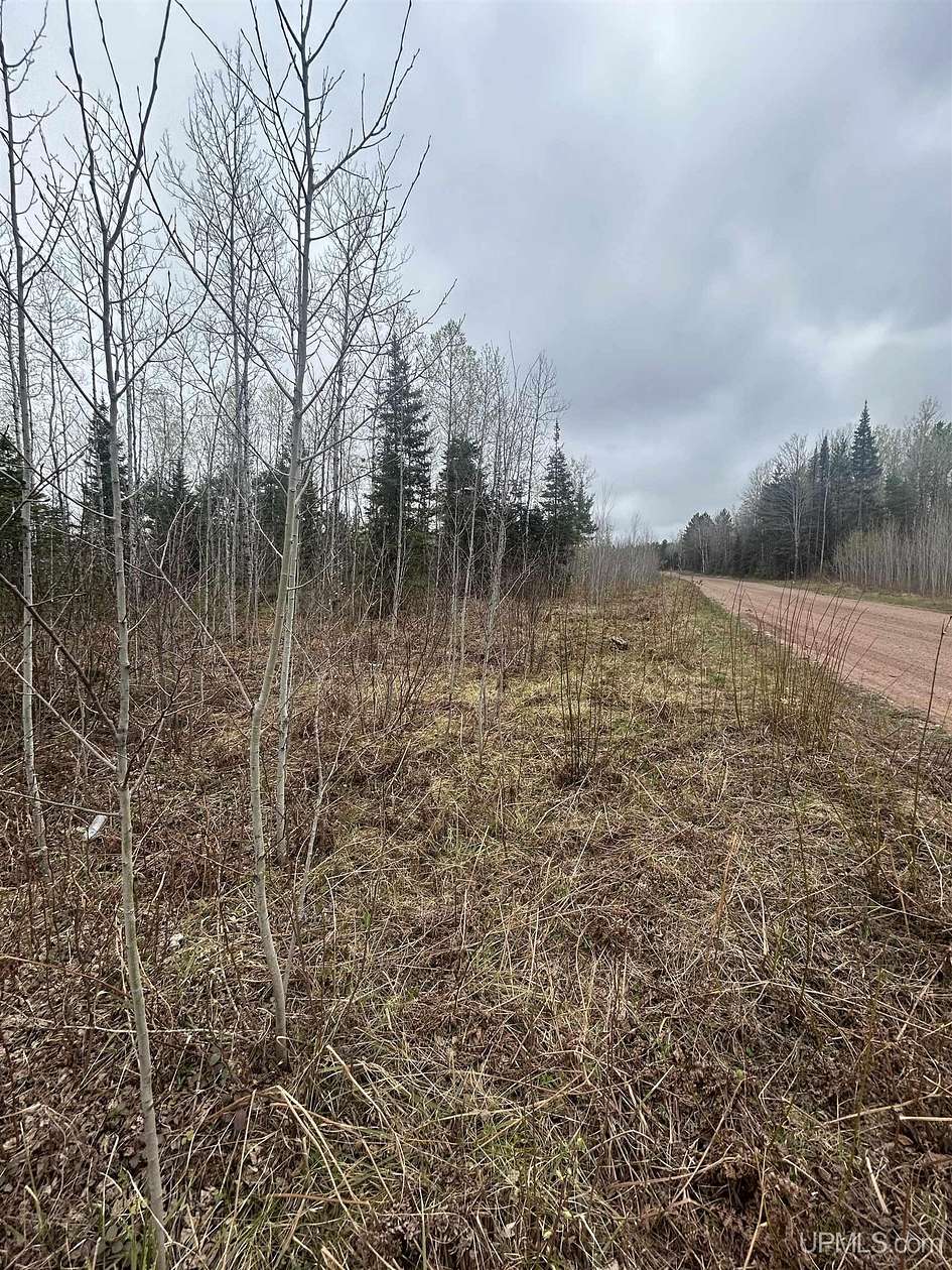 17 Acres of Recreational Land for Sale in Gwinn, Michigan