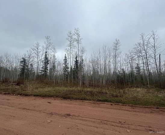 17.7 Acres of Recreational Land for Sale in Gwinn, Michigan