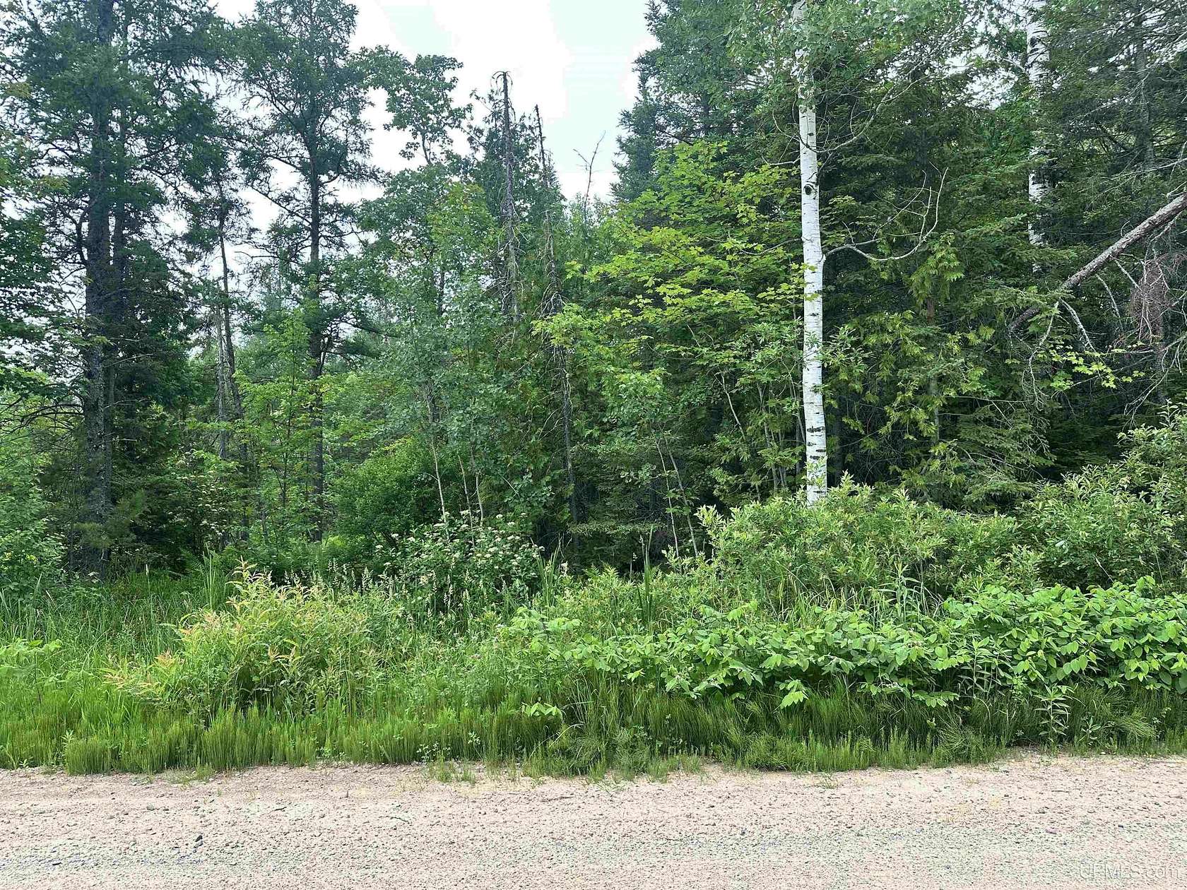 50 Acres of Recreational Land for Sale in Deerton, Michigan