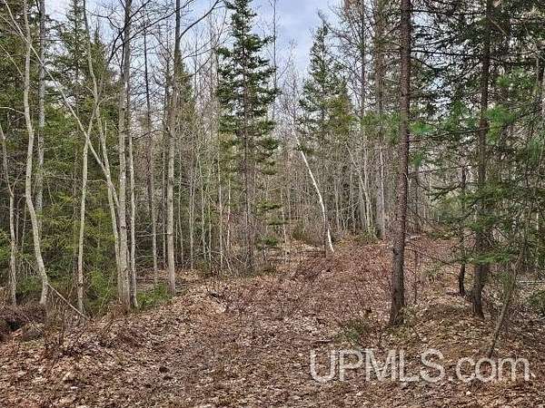 40 Acres of Recreational Land for Sale in Ishpeming, Michigan