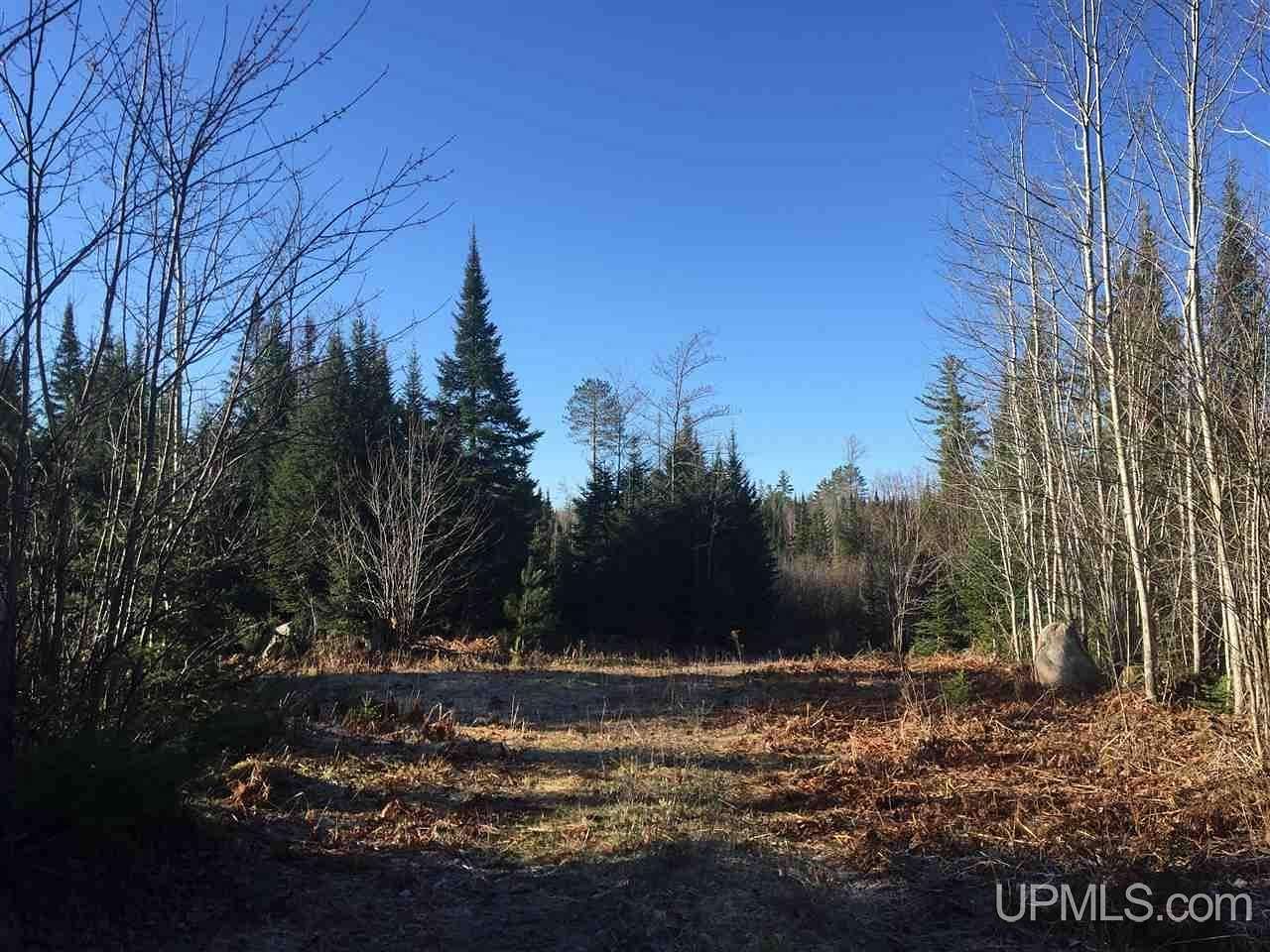 80 Acres of Recreational Land for Sale in Ishpeming, Michigan