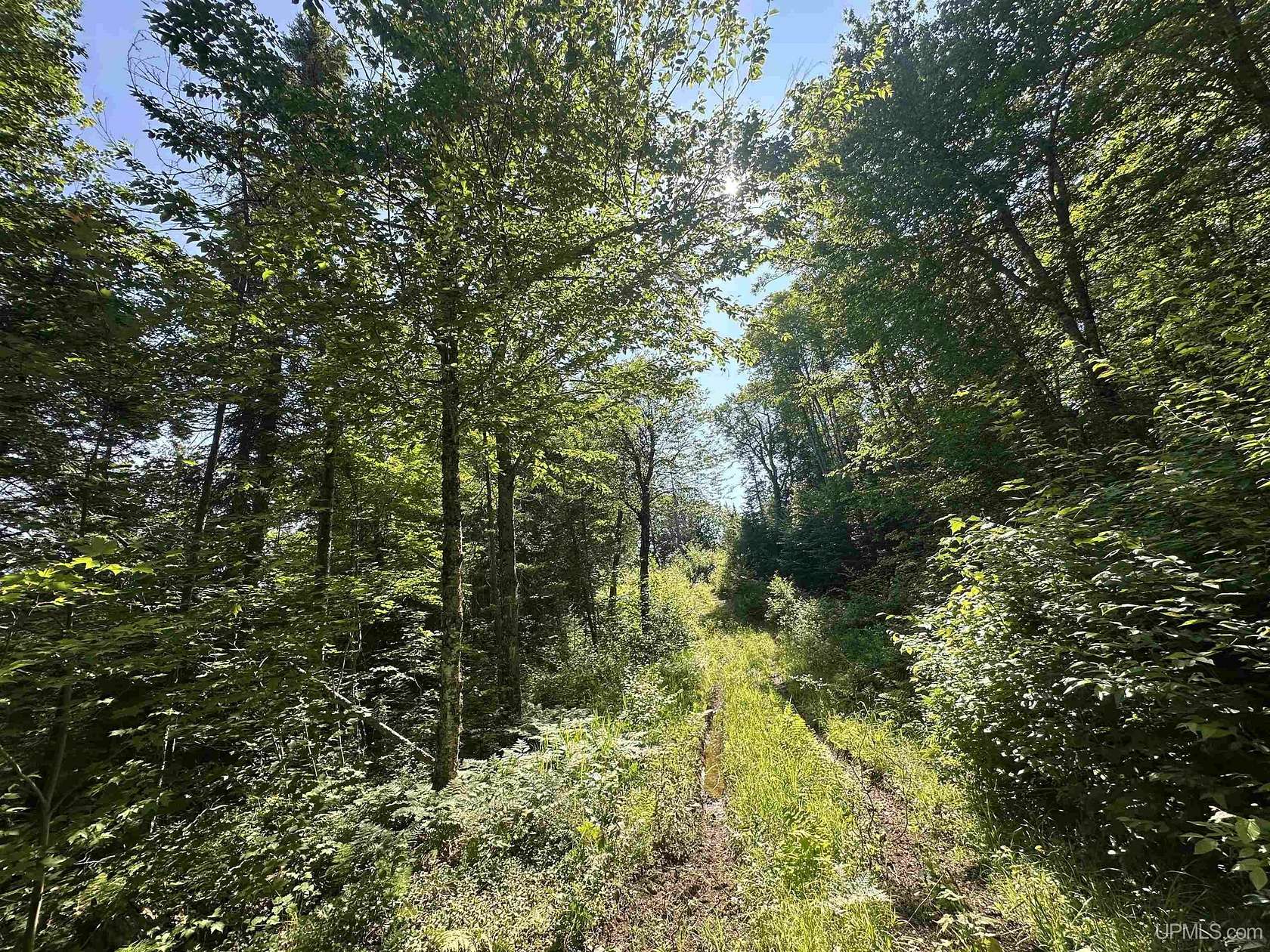 400 Acres of Recreational Land for Sale in Michigamme, Michigan
