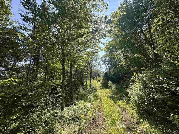 400 Acres of Recreational Land for Sale in Michigamme, Michigan