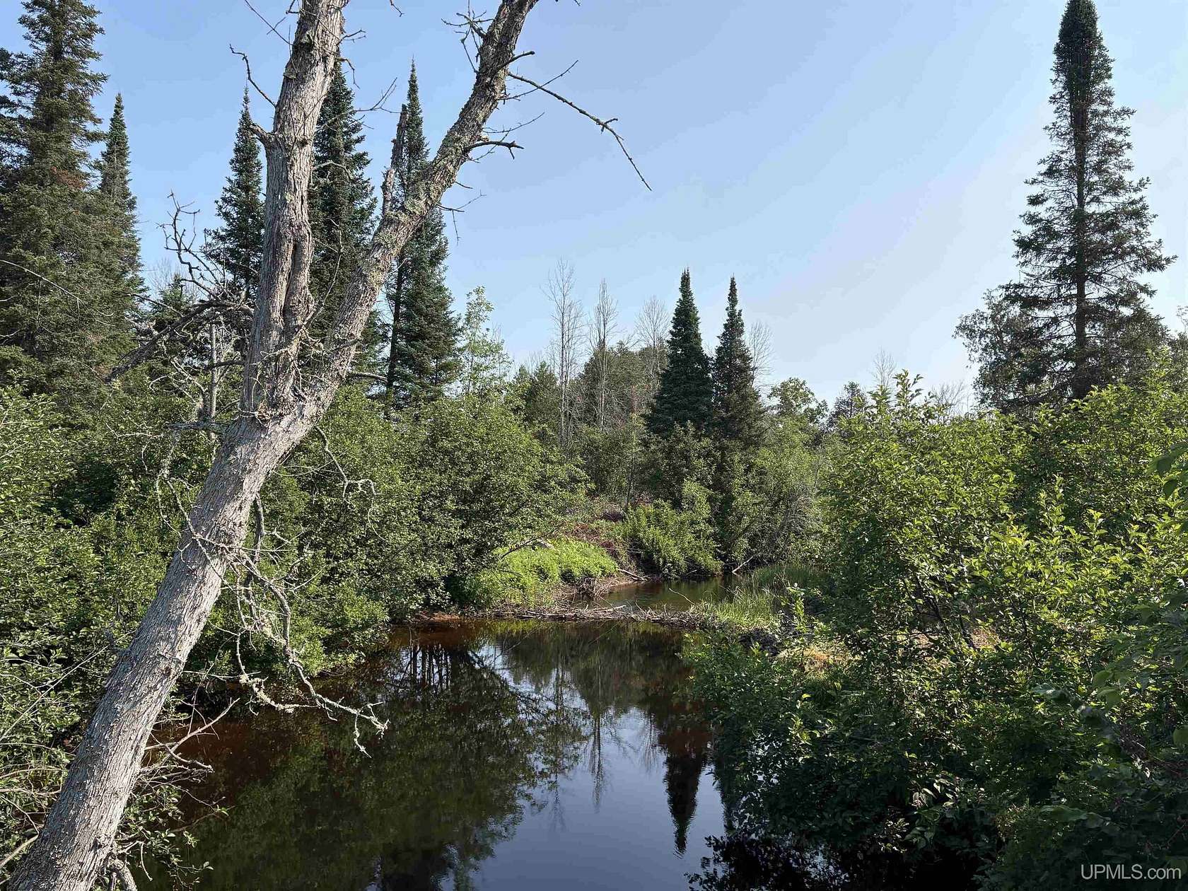 80 Acres of Recreational & Residential Land for Sale in Deerton, Michigan