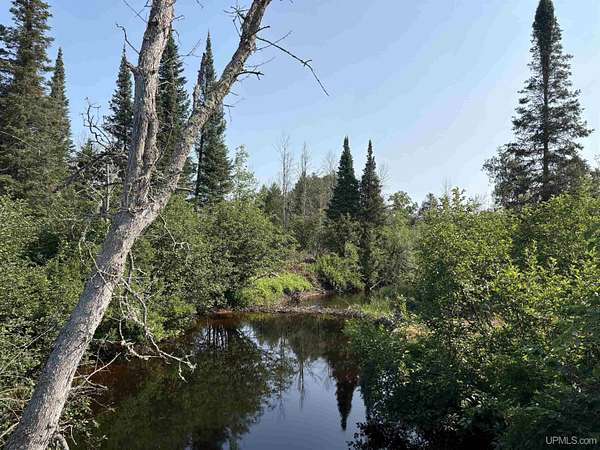 80 Acres of Recreational & Residential Land for Sale in Deerton, Michigan