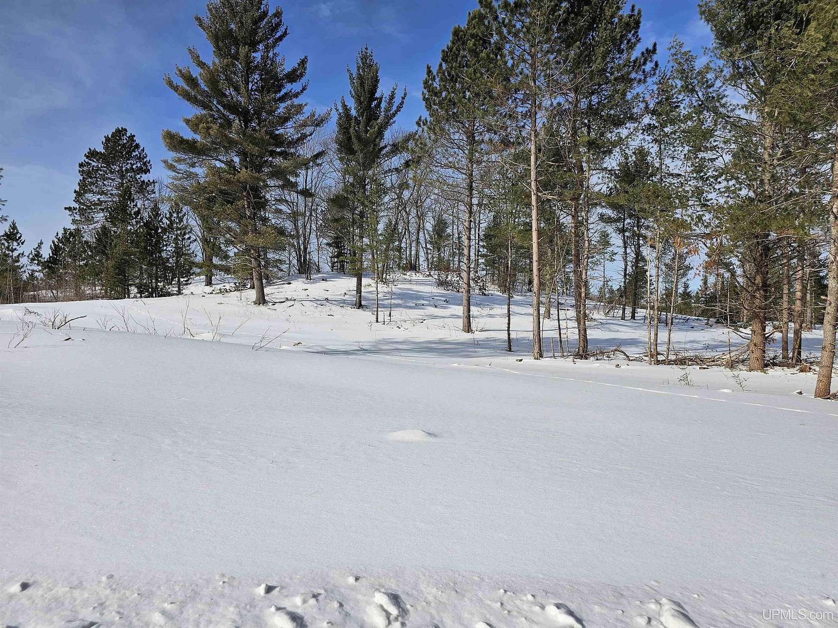 75.5 Acres of Recreational & Residential Land for Sale in Ishpeming, Michigan