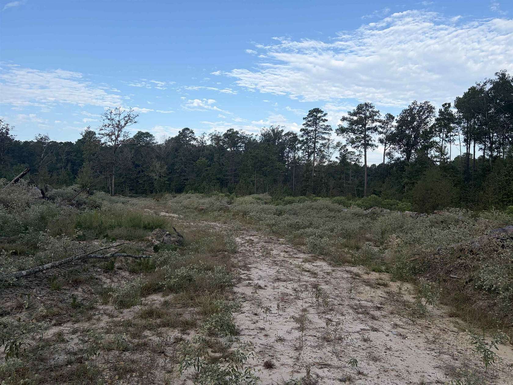 40 Acres of Recreational Land for Sale in Louann, Arkansas