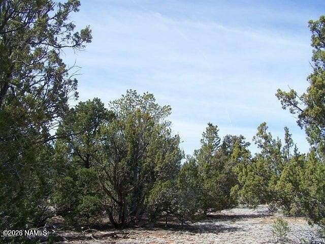 20 Acres of Recreational Land for Sale in Williams, Arizona