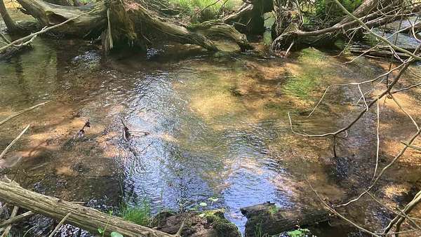0.7 Acres of Residential Land for Sale in Kalkaska, Michigan