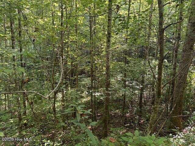 1.59 Acres of Residential Land for Sale in Marble, North Carolina