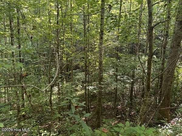 1.59 Acres of Residential Land for Sale in Marble, North Carolina