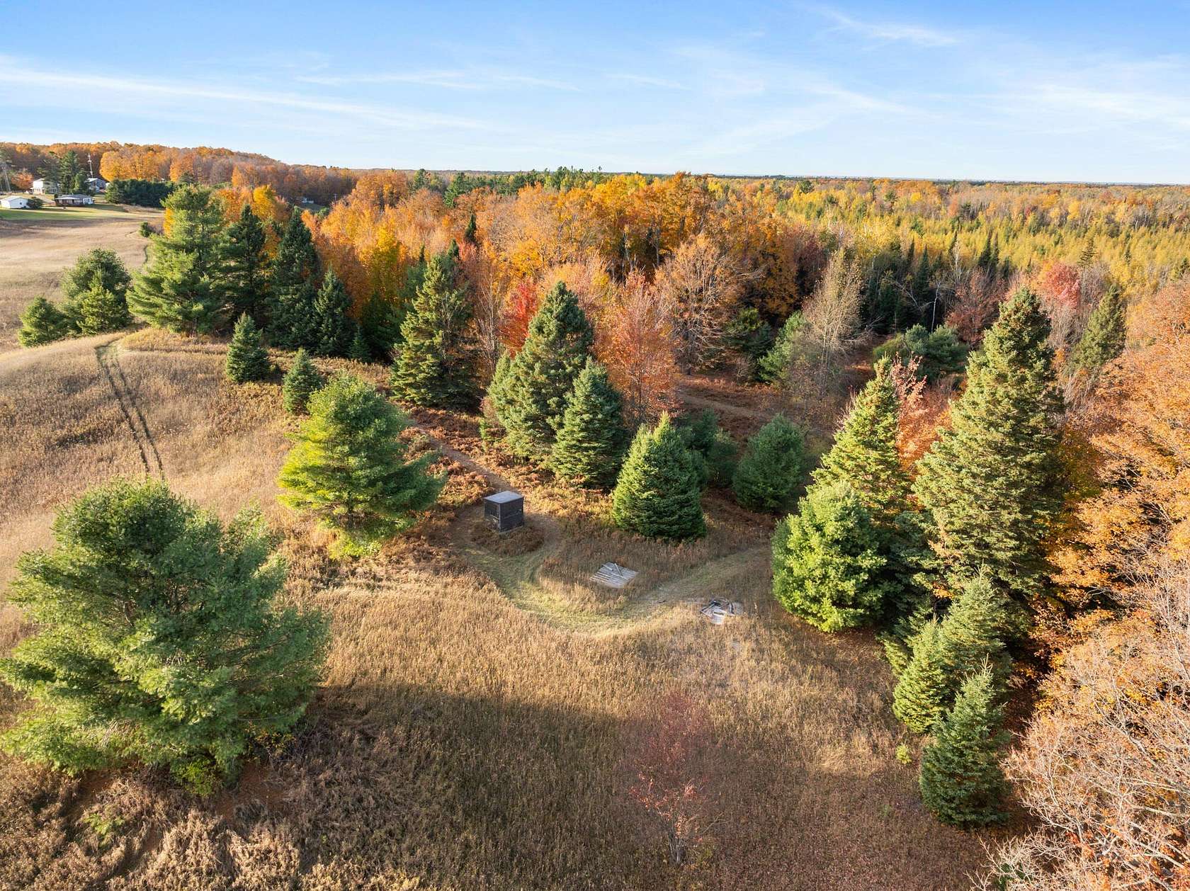 31.5 Acres of Land for Sale in Levering, Michigan