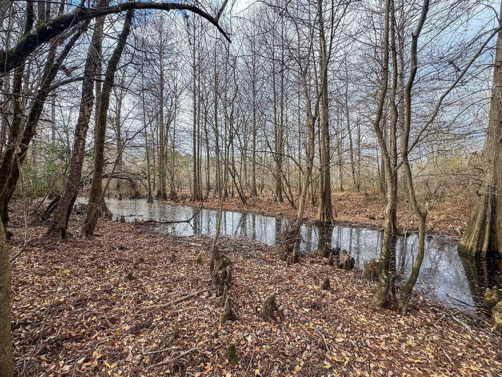 205 Acres of Recreational Land for Sale in Linden, Texas