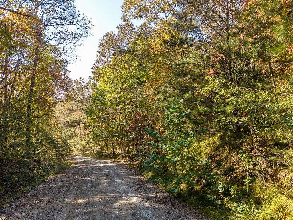 3.14 Acres of Residential Land for Sale in Mineral Bluff, Georgia
