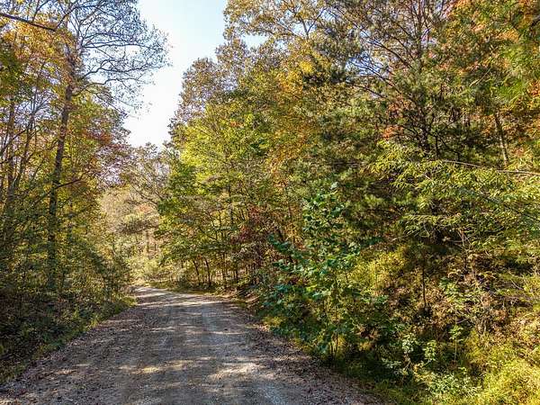 3.14 Acres of Residential Land for Sale in Mineral Bluff, Georgia